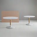 Mesa MIRA 120, colores disponibles