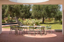 Sillas Doga Armchair alrededor de una mesa, en un jardín con olivos – Nardi