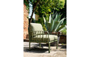 Sillón KOMODO en agave junto a una planta de agave – Nardi
