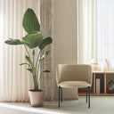Butaca MOGI de 65 cm en polipiel beige, junto a una planta – Teulat